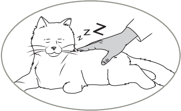 Cat 4 Cat 4